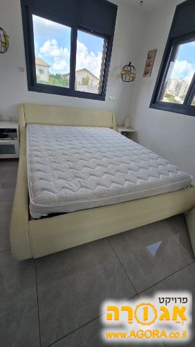 מיטה