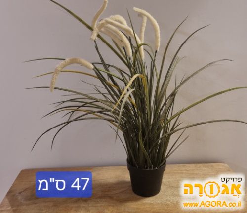 עציץ פלסטיק לנוי