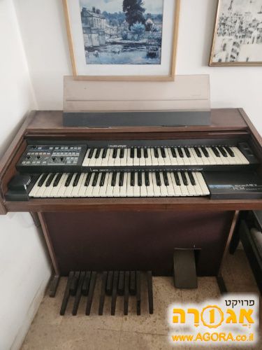 אורגן