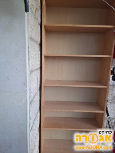 כוננית