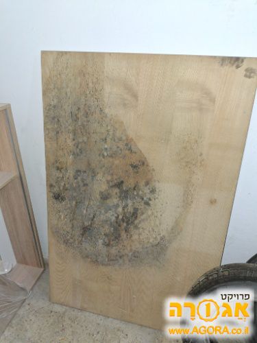 דיקט