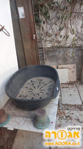 מיטת כלב