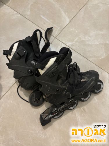 סקטים