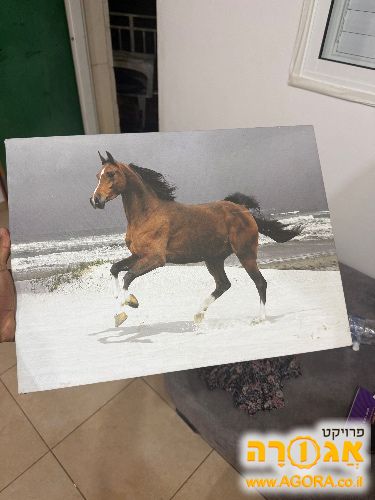 תמונה