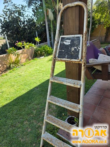 סולם