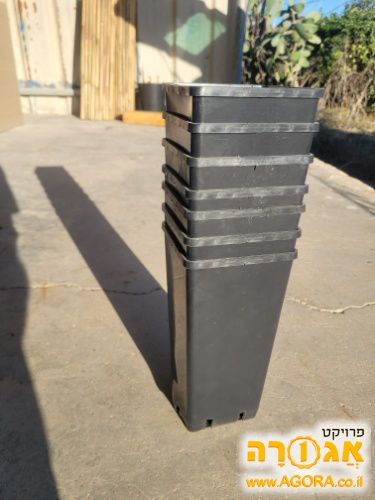 עציץ הנבטה