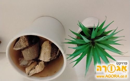 אגרטל קטן