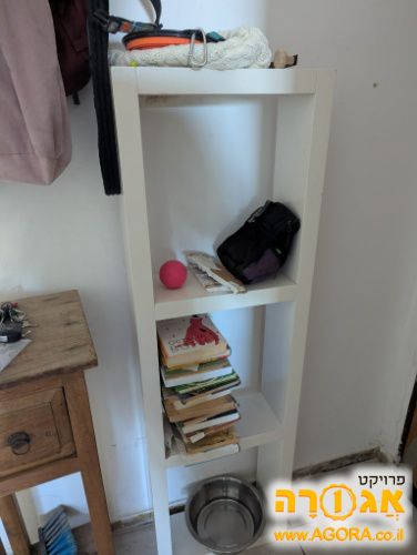 כוננית