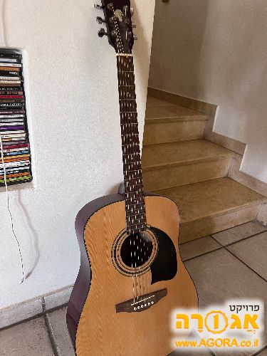 גיטרה אקוסטית
