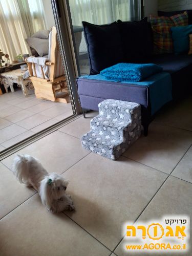 מדרגות לכלב לעליה למיטה