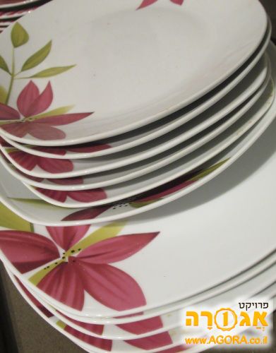 סט צלחות בשרי
