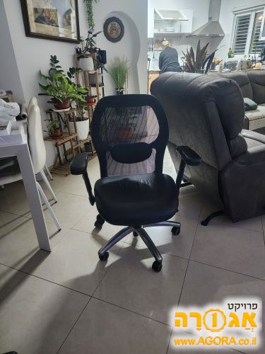 כסא מנהלים