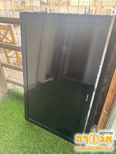 טלויזיה