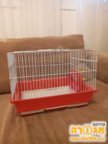 כלוב