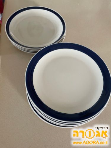 צלחות מנה עיקרית