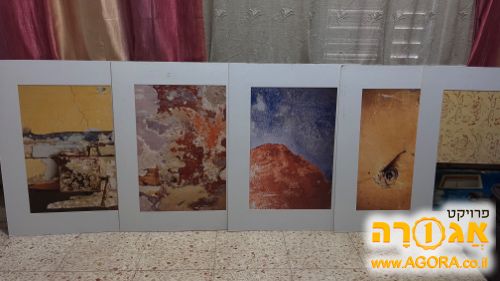 תמונות לעיצוב קיר