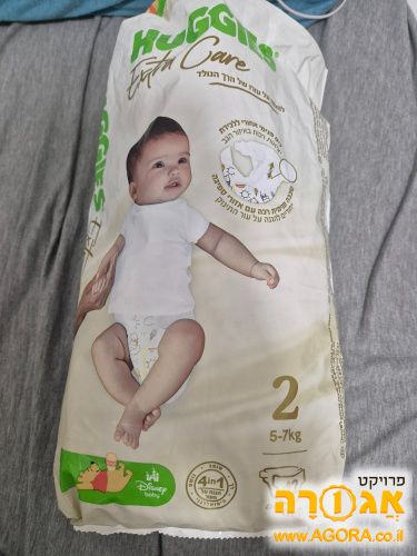 טיטולי האגיס שלב 1+ 2