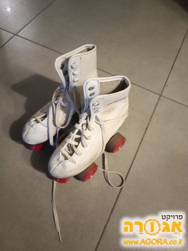 גלגיליות