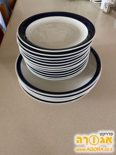 צלחות מנה ראשונה ועיקרית