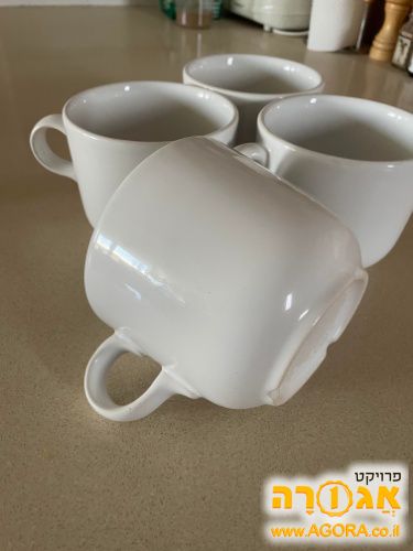 ספלים גדולים