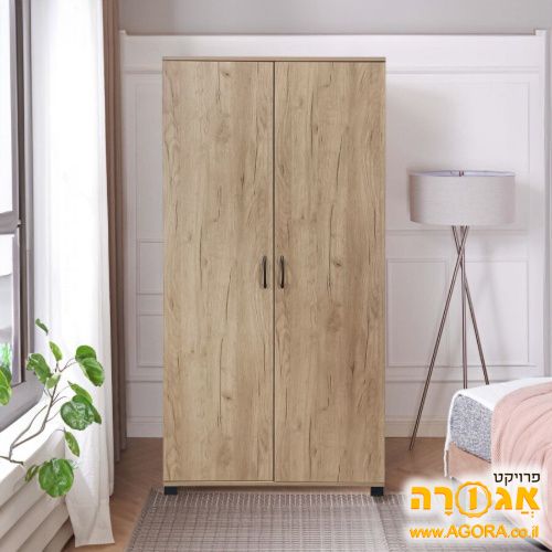 ארון שתי דלתות בגווני עץ