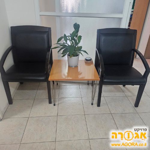 זוג כסאות המתנה מפוארים