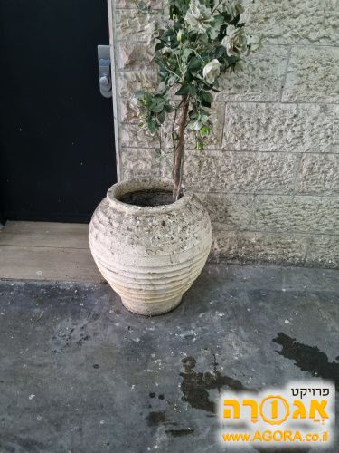 עציץ גינה