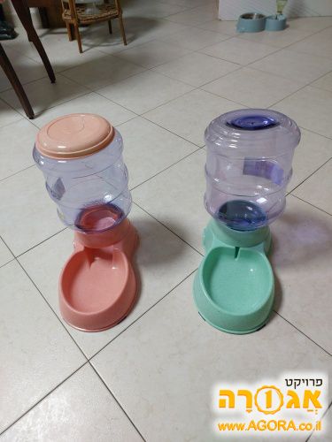 כלי אוכל לכלב