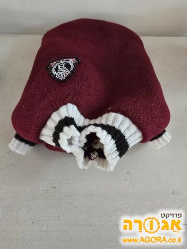 בגד לכלב