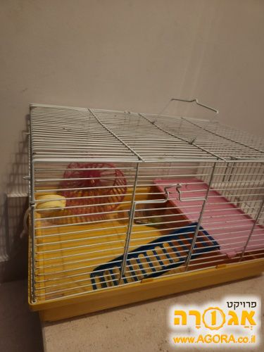 כלוב לאוגר