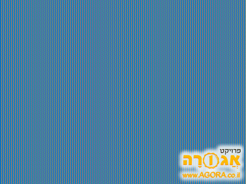 קלידים MIDI