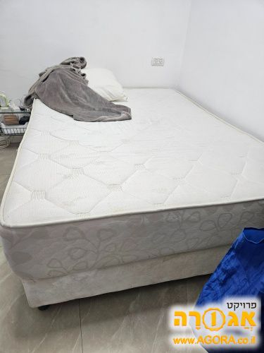 מיטה