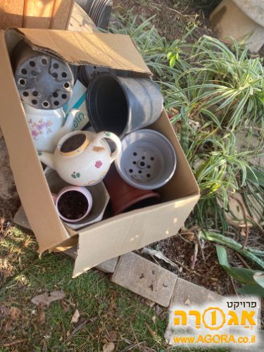 מגוון עציצי פלסטיק קטנים ובינוניים