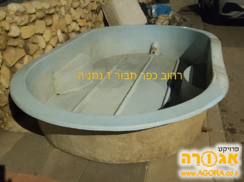 בריכה
