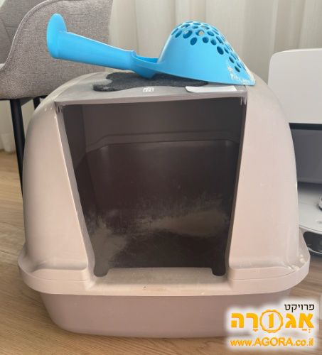 ארגז חול לחתולים