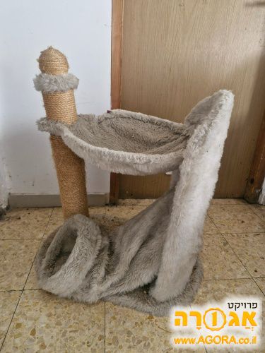 עץ חתולים קטן