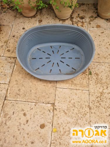 מיטה לכלב