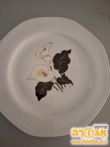 סט צלחות חדש