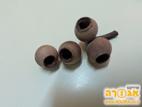 פרי לעבודות יצירה