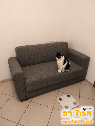 ספה דו-מושבית נפתחת למיטה עם ארגז אחסון