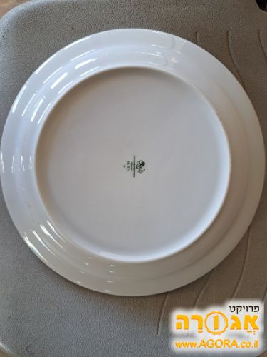 צלחות אוכל