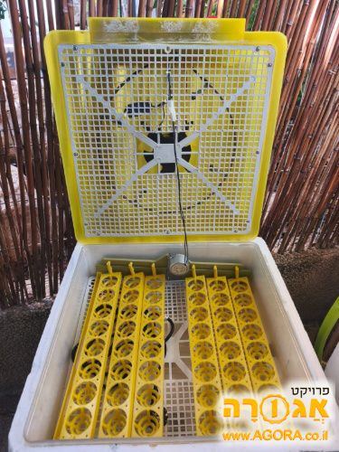 מדגרה לעופות