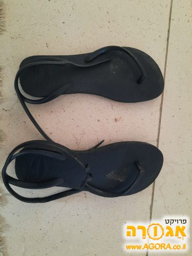 הוויאנס