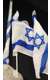 דגלים לרכב