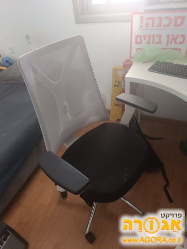 כסאות תלמיד