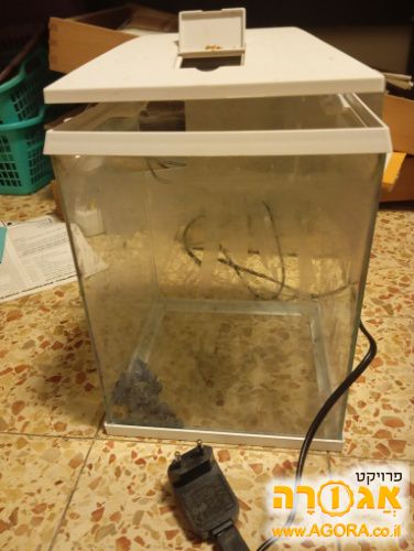 אקווריום