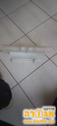 מנורה פלורסנטית