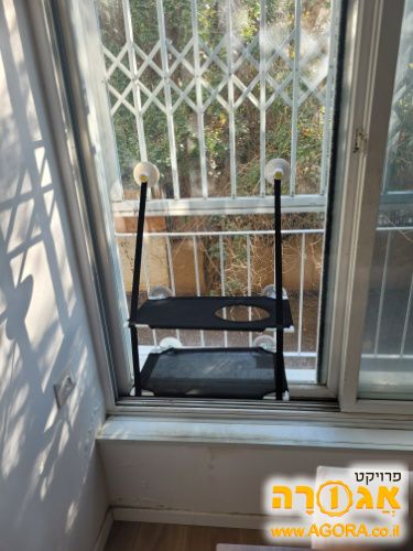 מתקן טיפוס לחתולים