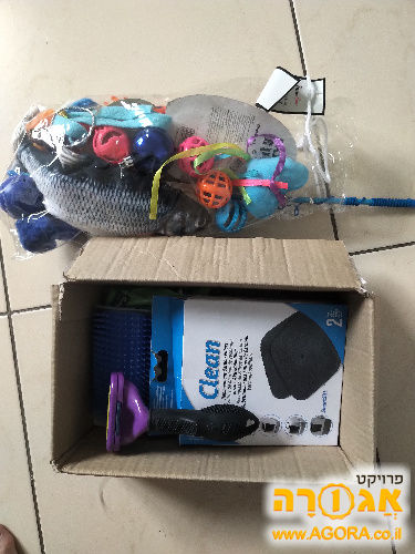 צעצועים לחתולים