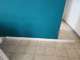 פנלים
